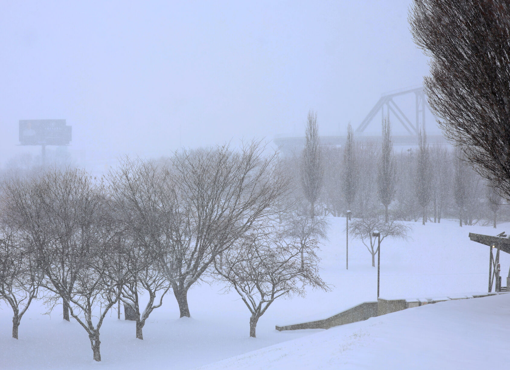 Waterfront Park with snow - Jan. 5, 2025.JPG